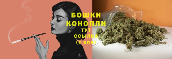 прущие крисы Арсеньев
