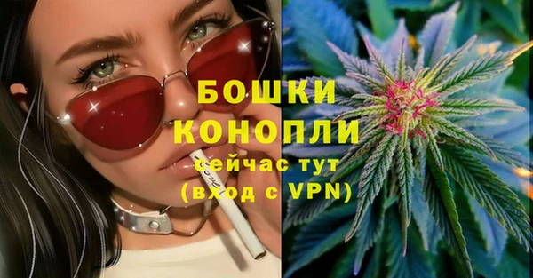 ешки Аркадак