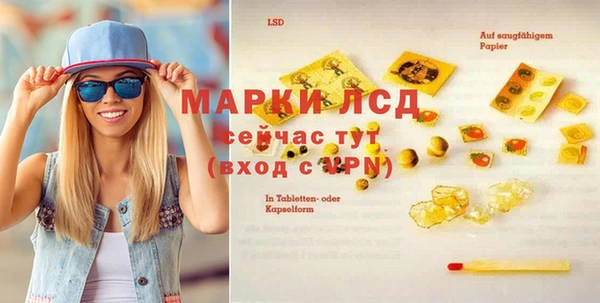 ешки Аркадак