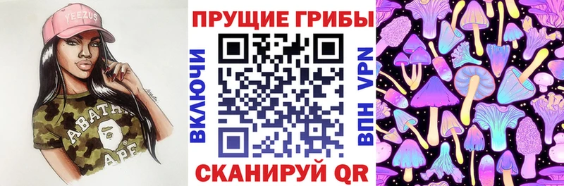 Галлюциногенные грибы Psilocybine cubensis  купить закладку  KRAKEN ссылки  Таруса 